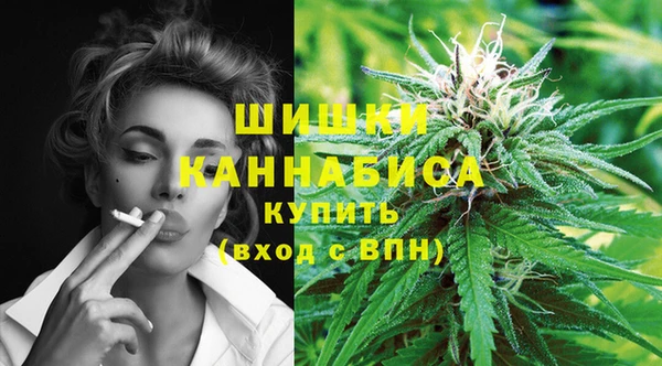 МДПВ Верхний Тагил