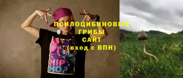ALPHA PVP Верея