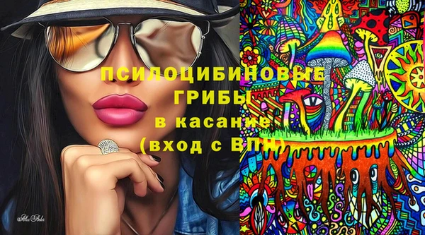 ALPHA PVP Богородицк