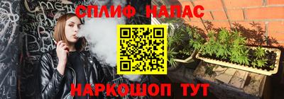 дмт Жуковский