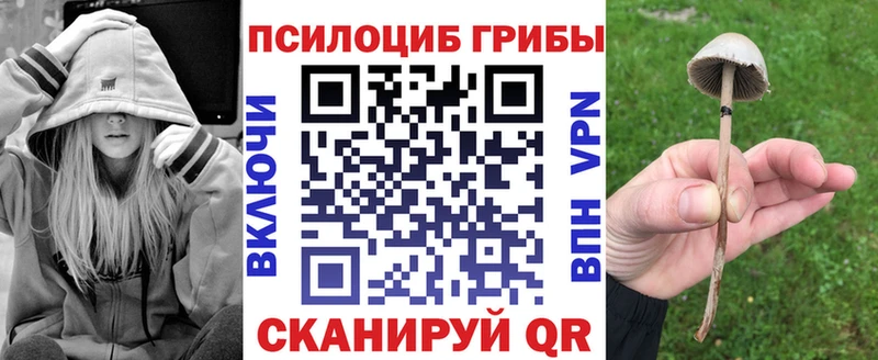 Галлюциногенные грибы прущие грибы  где продают   Среднеуральск 