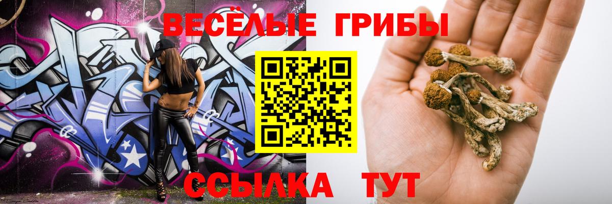 Галлюциногенные грибы Magic Shrooms Среднеуральск