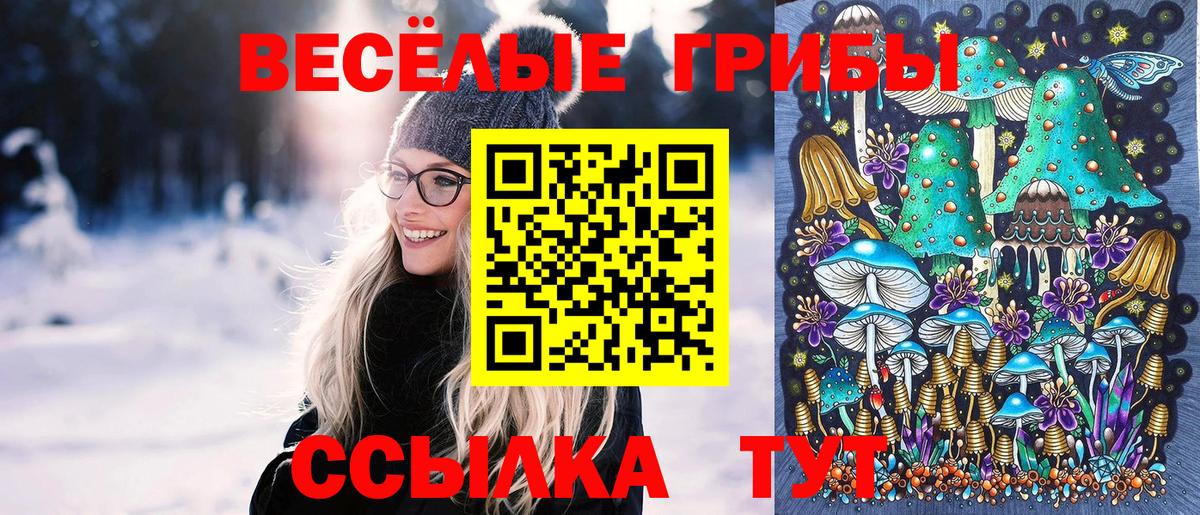 Псилоцибиновые грибы мухоморы  Вход с VPN  Среднеуральск  Галлюциногенные грибы GOLDEN TEACHER 
