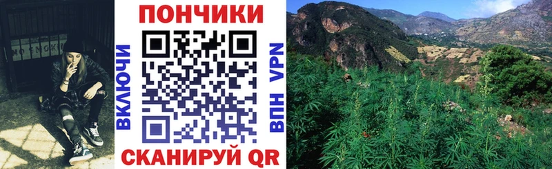 Шишки марихуана ГИДРОПОН даркнет сайт Среднеуральск